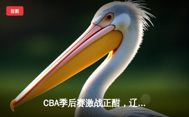 CBA季后赛激战正酣，辽宁本钢主场加时险胜浙江广厦